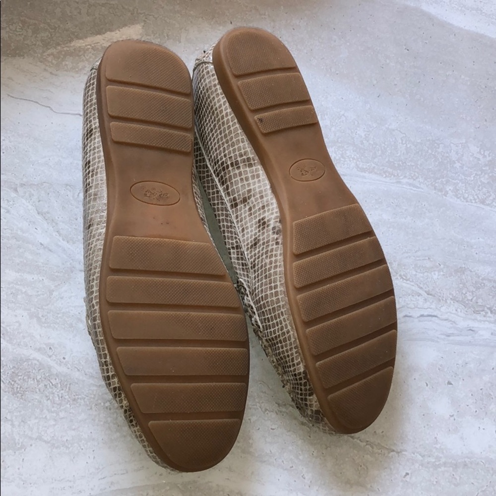 Olive Sand Printed Snake Coach Shoes - Picture 6 of 16